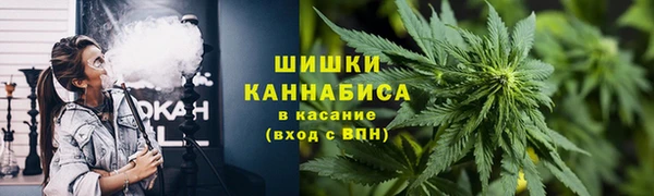 a pvp Бородино