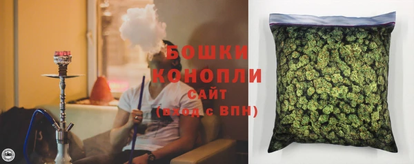 сатива Богородицк