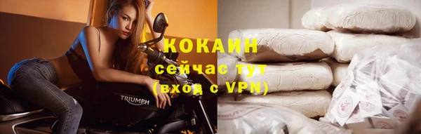 a pvp Бородино