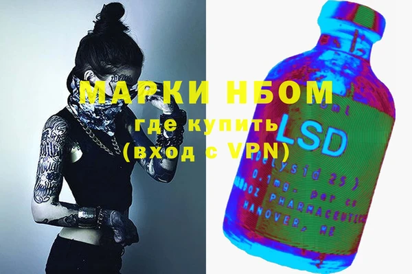 a pvp Бородино