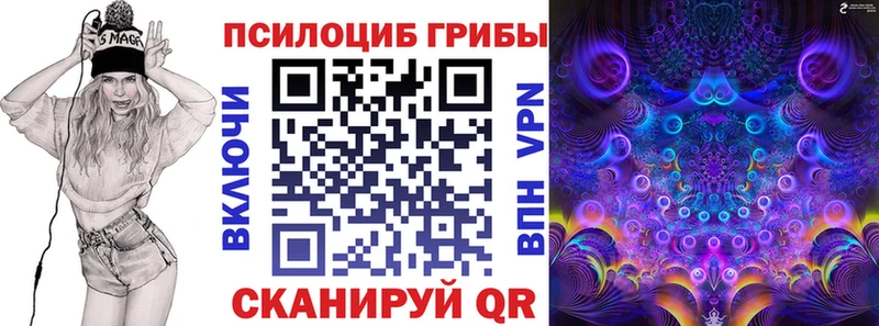Купить где Жигулёвск Галлюциногенные грибы мицелий